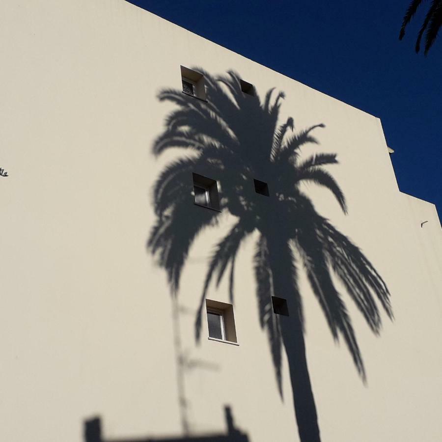 Les Pins . 2 P Calme Et Terrasse Appartement Nice Buitenkant foto